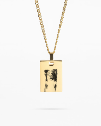 A custom pet photo necklace in gold, showcasing a heartwarming image of your pet."